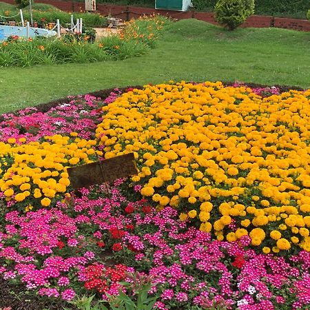 Kodai Pinetree Residency Кодайканал Номер фото