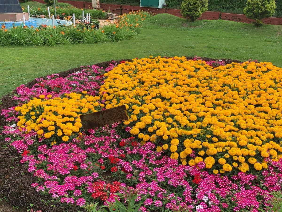 Kodai Pinetree Residency Кодайканал Экстерьер фото